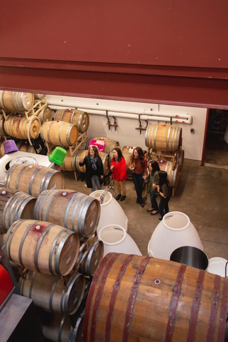 A group of wine tasters tour a winery and learn about the art of winemaking. 