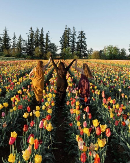 Three women hold hands up in the air while walking away from the camera through fields of brightly colored tulip flowers in Willamette Valley, Oregon. 