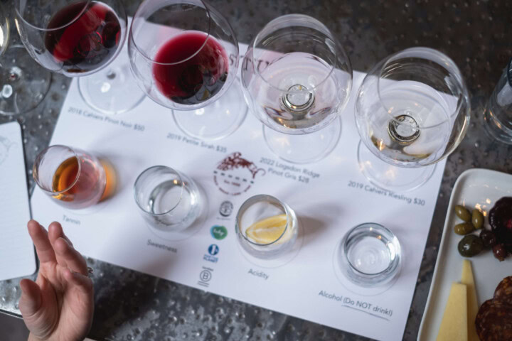 A wine tasting class shows an overhead image of the tasting mat with two glasses of red wine, two glasses of white wine, and four small glasses containing a an example of a foundational wine term: tannins, sweetness, acidity, and alcohol. 