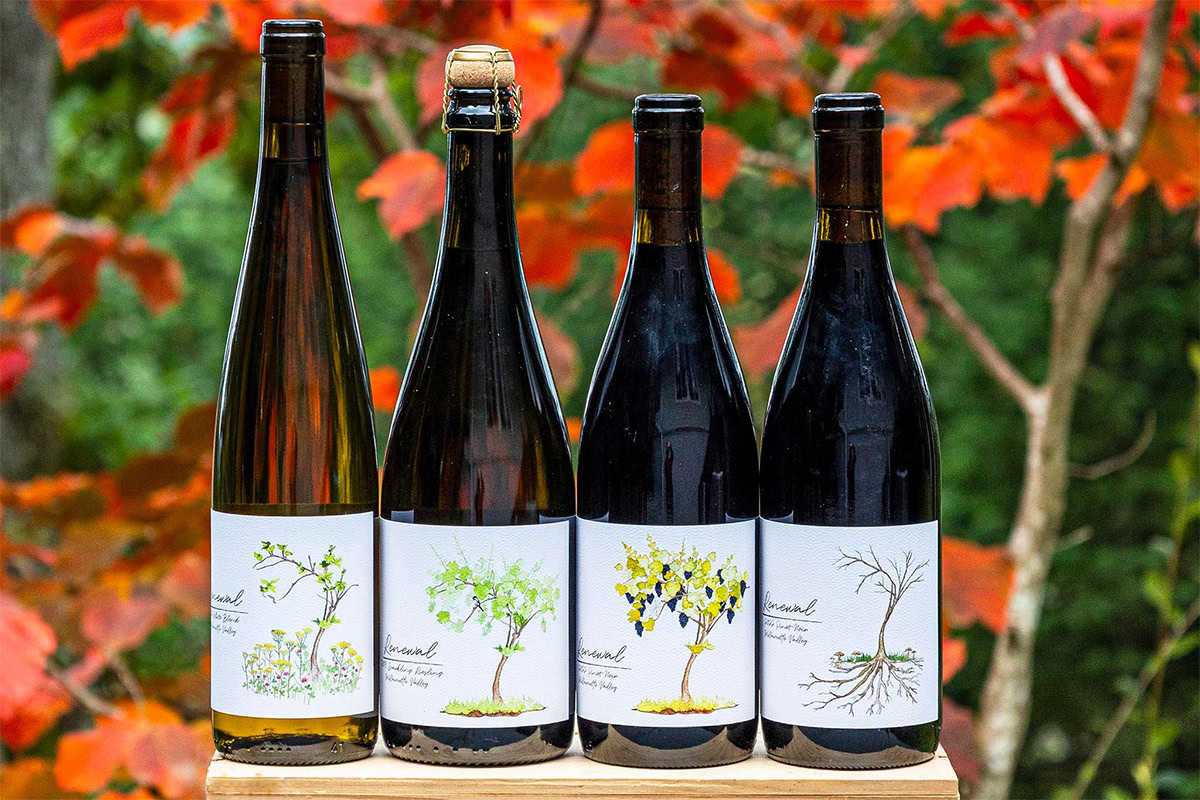 Four wine bottles arranged on a wooden stand, surrounded by green leaves in the background, creating an elegant display.