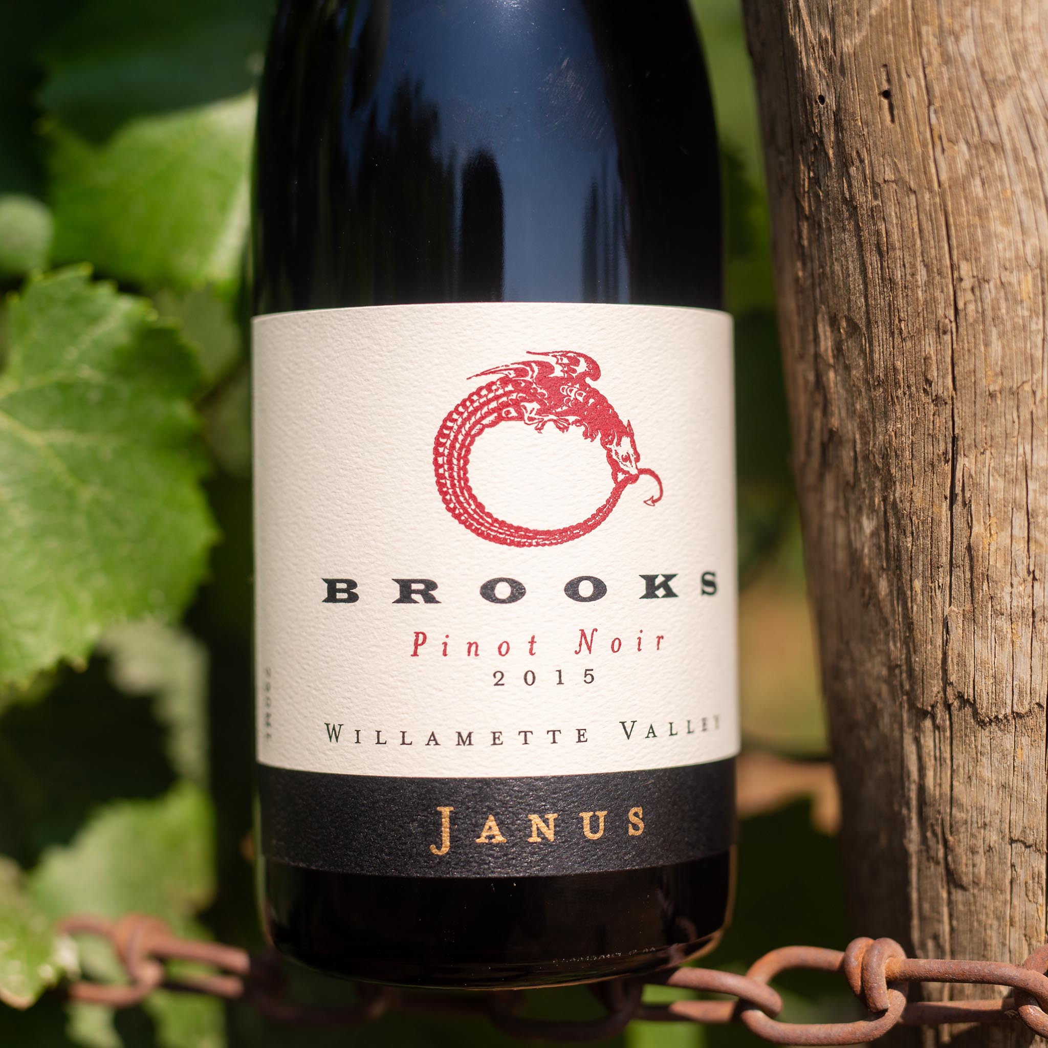 Brooks University – The Legacy of Janus Pinot Noir